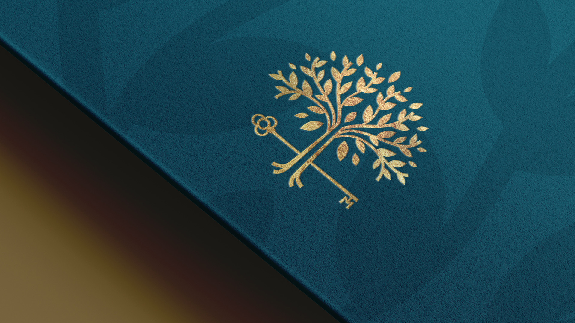 maimon-09